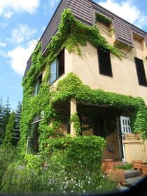 Warm & Welcoming Greenery Home in Hokkaido in HokkaidoIwamizawa City七-joNishi３-chome, Hokkaido